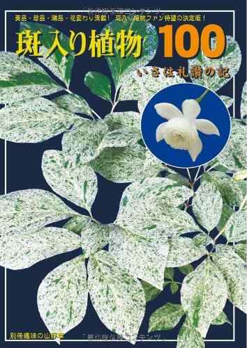【中古】斑入り植物ベスト100: いさは礼讃の記 (別冊趣味の山野草)