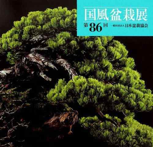 【中古】第86回　国風盆栽展