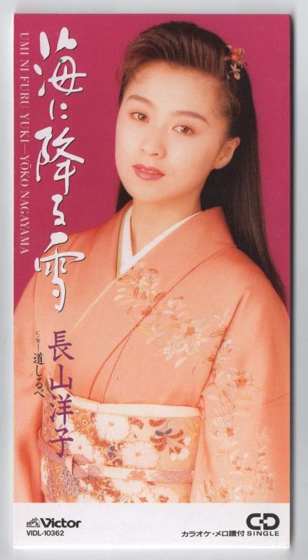 【中古】海に降る雪