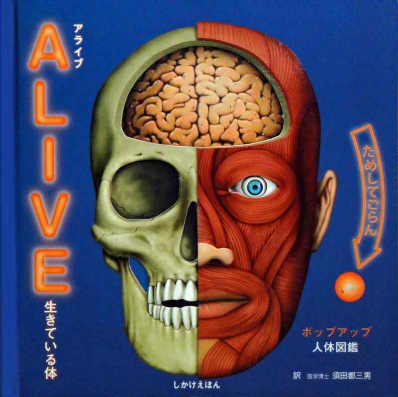 【中古】Alive生きている体: ポップアップ人体図鑑 (しかけえほん)