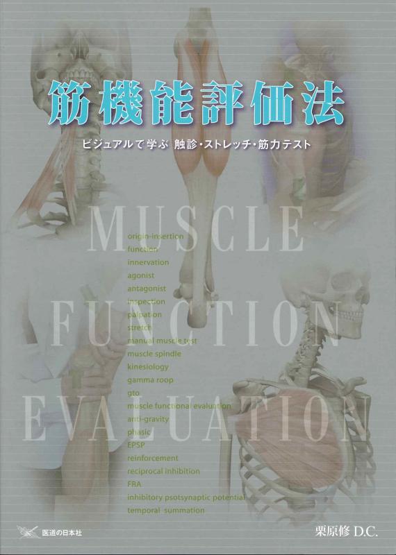 筋機能評価法―ビジュアルで学ぶ触診・ストレッチ・筋力テスト