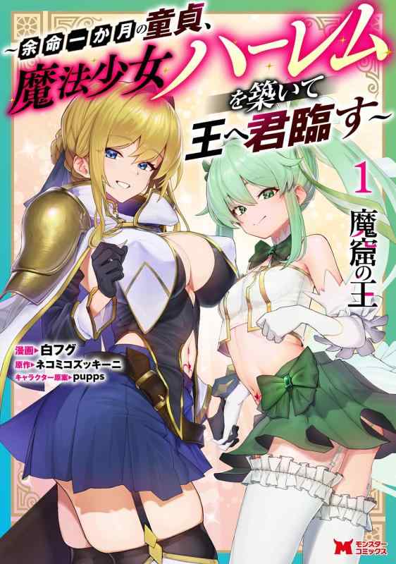 Rakuten - 【中古】魔窟の王～余命一か月の童貞、魔法少女ハーレムを築いて王へ君臨す～(1) (モンスターコミックス)