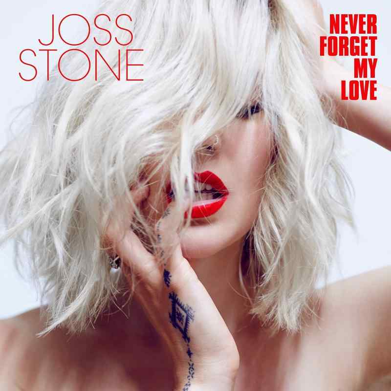 NEVER FORGET MY LOVE (輸入盤CD)