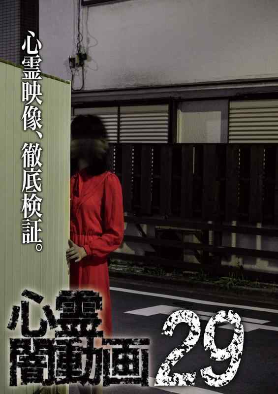 【中古】心霊闇動画29 [DVD]