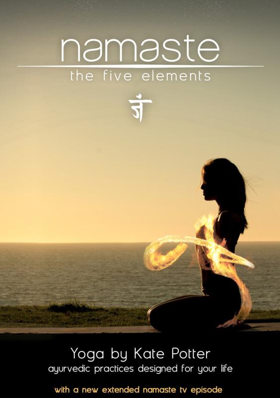 Liquid Crystal Protector - 【中古】Namaste: The Five Elements in Yoga