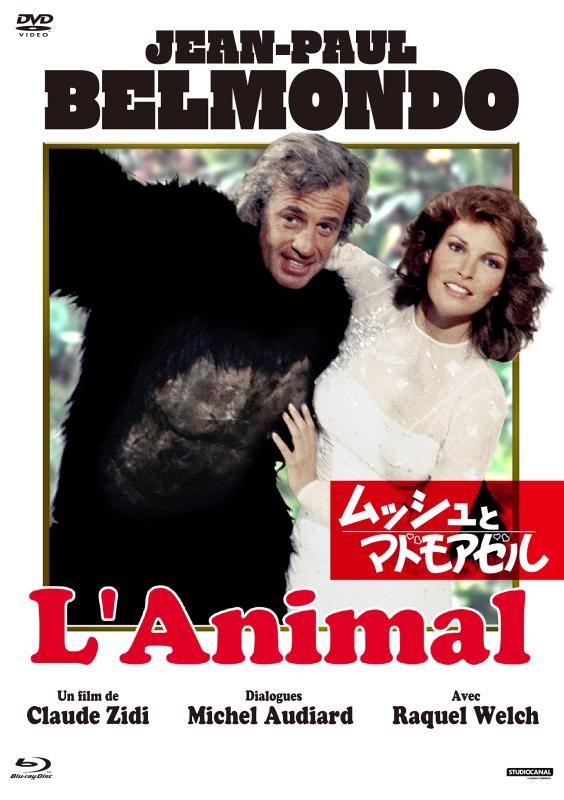 【中古】ムッシュとマドモアゼル [DVD]