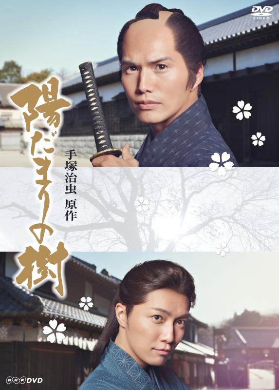 Rakuten - 【中古】陽だまりの樹 [DVD]
