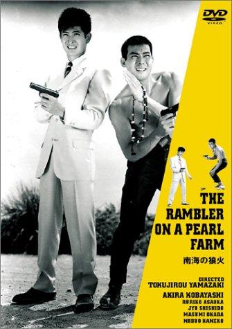 乐天商城 - 【中古】南海の狼火 [DVD]
