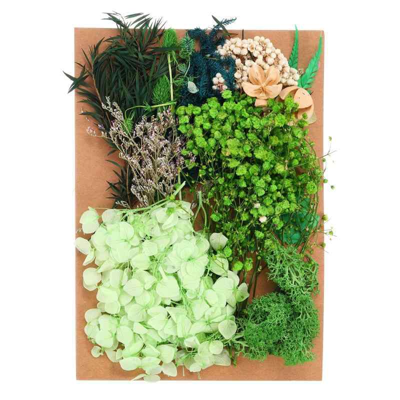 乐天商城 - PATIKIL ナチュラルドライフラワー 複数のカラフル 本物のドライ押し花植物 クラフト樹脂 ソープ キャンドル スクラップブッキング用 緑シリーズ