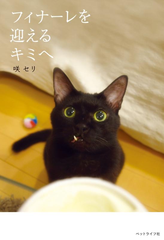 【中古】フィナーレを迎えるキミへ