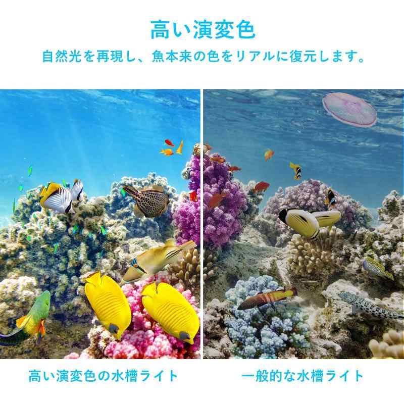LEDGLE アクアリウムライト