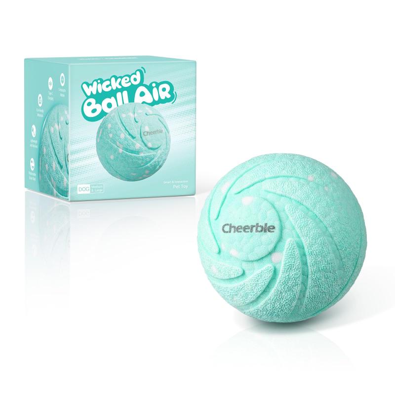 Hoochii x Cheerble Wicked Ball Air/Rugby