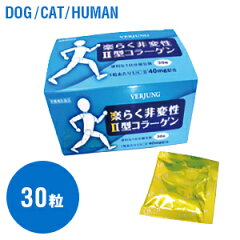 https://thumbnail.image.rakuten.co.jp/@0_mall/sofia-pet/cabinet/06477922/a0161_01.jpg