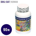 アズミラ Azmiraグルコサミン 90カプセル (犬・猫用...