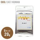 C&R C.E.F/Sサイズ Mサイズ Lサイズ 20g 37g 92g / 犬 旧ソリッドゴールド