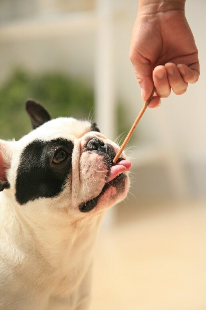 C&R スティックロール ナチュラル 犬用 7...の紹介画像2