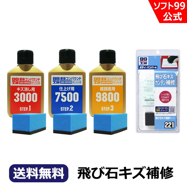 【送料無料】ソフト99 液体コンパウンド トライアルセットECO 飛び石キズ補修セット