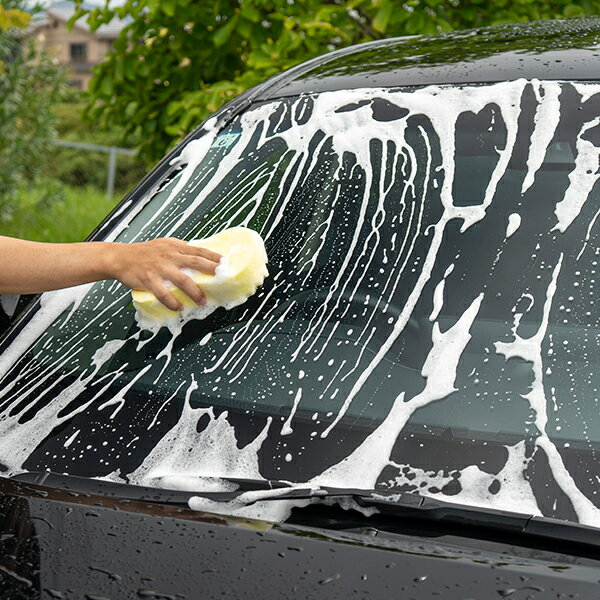 �餯�餯���饳