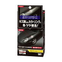 ソフト99 99工房モドシ隊 カラーフィニッシュ ブラック 【補修ケミカル】
