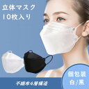 マスク 不織布 大人 立体マスク 高校生 ジュニア 白 黒 小顔 4D 息がしやすい 顔にフィット 不織布マスク 男性 女性 男性用 女性用 マスク オシャレ マスク 口紅がつきにくい 韓流マスク 10枚入り 立体 使い捨て 個包装 不織布 マスク 4層構造