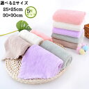 【母の日★10%OFF】 マイクロファイバーミニタオル 5枚セット 25×25cm 30×30cm マイクロファイバー ハンドタオル 極 柔らかい 速乾性 ふわ...