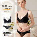 ＼ 2着以上で290円OFFクーポン ／ノンワイヤーブラ セット ブラジャー ショーツ セット ブラジャー 小胸 ノンワイヤー ブラジャー ショーツ セット ブラ セット 谷間 下着 レディース ワイヤレス 脇高 盛れる 谷間 ブラ ノンワイヤー パカパカしない ブラ 産後ブラ 寄せ 脇肉