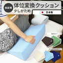 エントリーでP10倍 低反発 体位変換クッション
