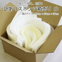 訳ありスポンジ-小 【返品・キャンセル・追加加工NG】スポンジ 端材 切り売り クッション 中身 緩衝材 梱包材 手芸 DIY お試し 箱売り アウトレット 素...