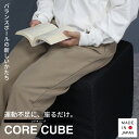 【 エントリーでP10倍】【座るだけ体幹トレ】 バランスクッション CORE CUBE 黒 椅子 ダイエット器具 バランス エクササイズ 腹筋 宅トレ 体幹トレーニング 筋トレ リハビリ バランス運動 高反発クッション 宅トレ エクササイズクッション 骨盤ケア 健康器具 日本製