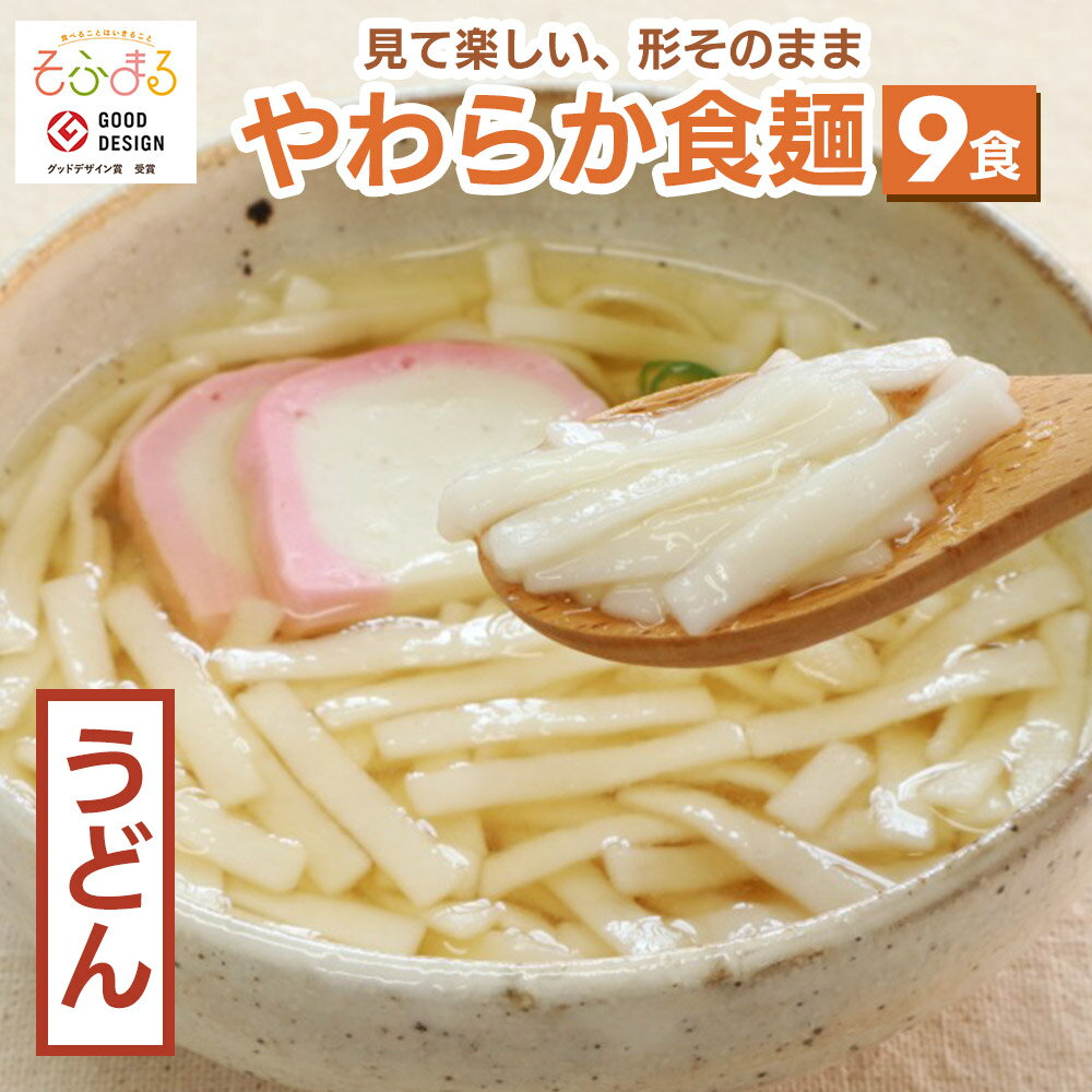 送料無料やわらか食やわらかうどん9...