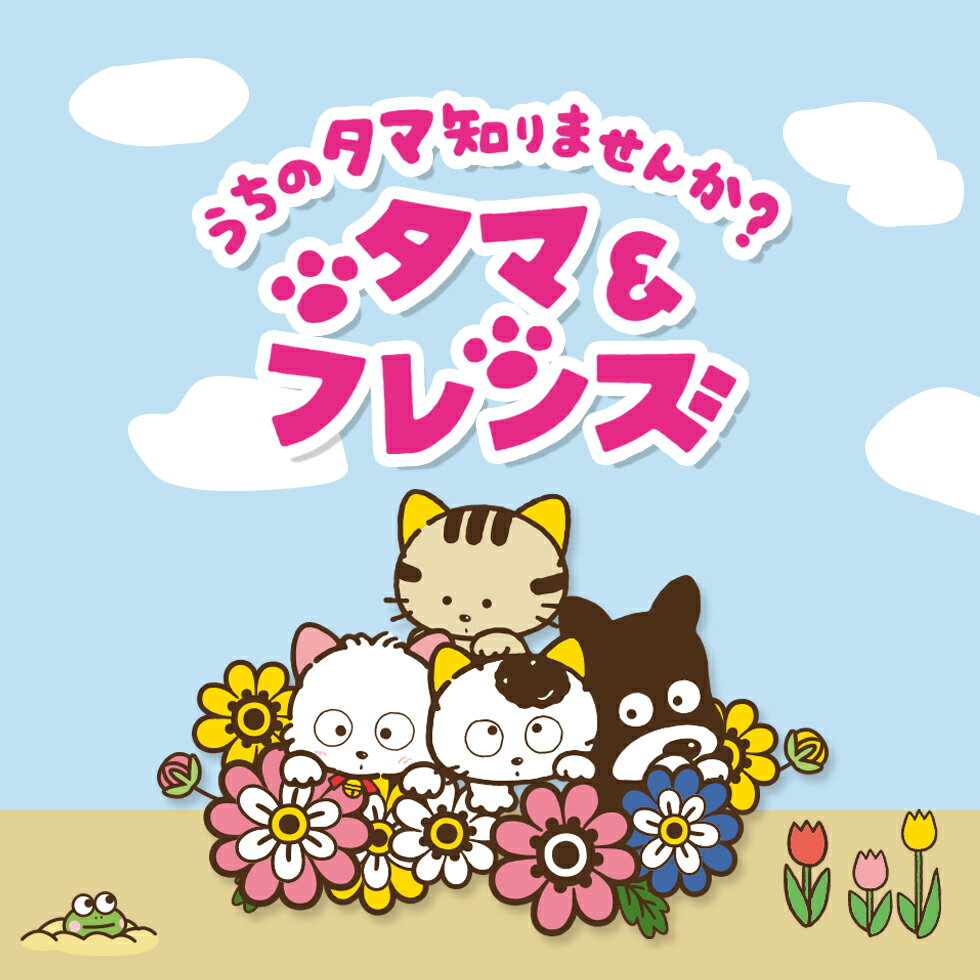 綿 100％ タオルハンカチ タオル キャラクター タマ＆フレンズ ミニハンカチ ハン...