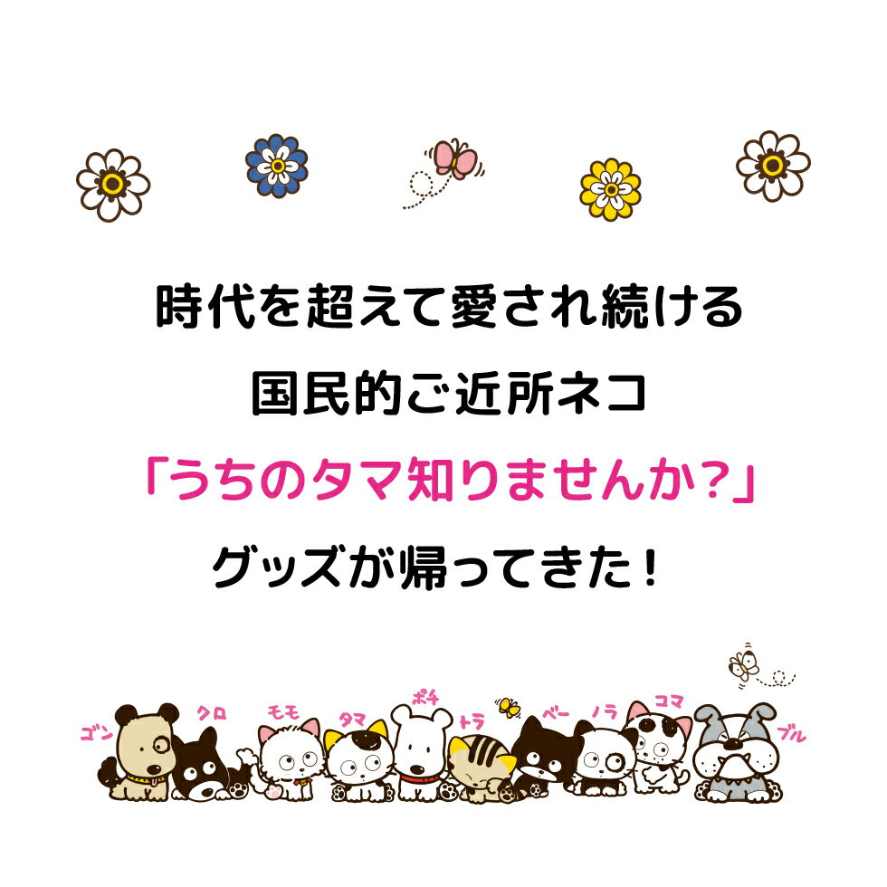 綿 100％ タオルハンカチ タオル キャラクター タマ＆フレンズ ミニハンカチ ハン...