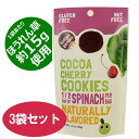 訳あり賞味期限 2017/12/8 ヒドゥンガーデン ココアチェリークッキー 40g×3袋セット グルテンフリー マルカイコ-ポレーション株式会社