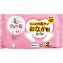 命の母カイロ じんわり温かいおなか用カイロ 10枚入 小林製薬【RH】