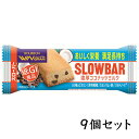 スローバー 濃厚ココナッツミルク 41g 【9個セット】 ブルボン 【YH】
