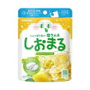 しおまる ひんやりレモンソーダ味 30g サラヤ【RH】熱中症予防