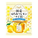 国産はちみつレモンのど飴 63g うすき製薬【RH】