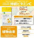 SOGOSMLE ビタミンC＋ビタミンP(ピュアウェイC) 24g(1粒内容量340mg)×60粒 総合メディカル【SM】 2