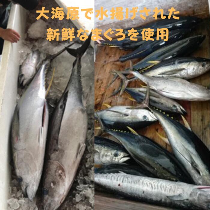 【送料無料】厚岸町からプリップリの牡蠣をお届け！北海道厚岸産殻付牡蠣（マルえもん） / Lサイズ / 10個入【smtb-TK】【楽ギフ_のし】【楽ギフ_メッセ】【楽ギフ_メッセ入力【マラソン1106P02】