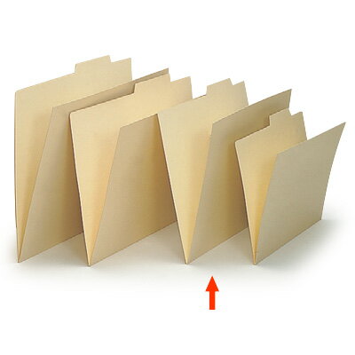 ե ȡ 師Ф̥ե A4/ס50祻åȡ