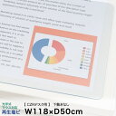 デスク マット イトーキ CZRデスク 用 光学式マウス対応 再生塩ビタイプ 下敷きなし 幅118×奥行50cm ITOKI 【自社便 玄関渡し】 日本製 国内...