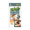 日本サニパックW51ストッキング素材細型排水口用　30枚　メール便送料無料