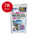 2個まとめ買い 紀陽除虫菊 非塩素系 洗濯槽クリーナー プロ仕様 750g入送料無料 ×2個セット