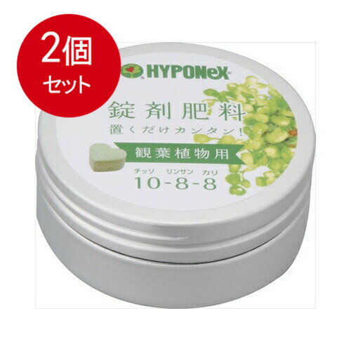 【2個まとめ買い】 錠剤肥料　観葉植物用 【 ハイポネックスジャパン 】 【 園芸用品・除草剤 】 メール便送料無料 × 2個セット