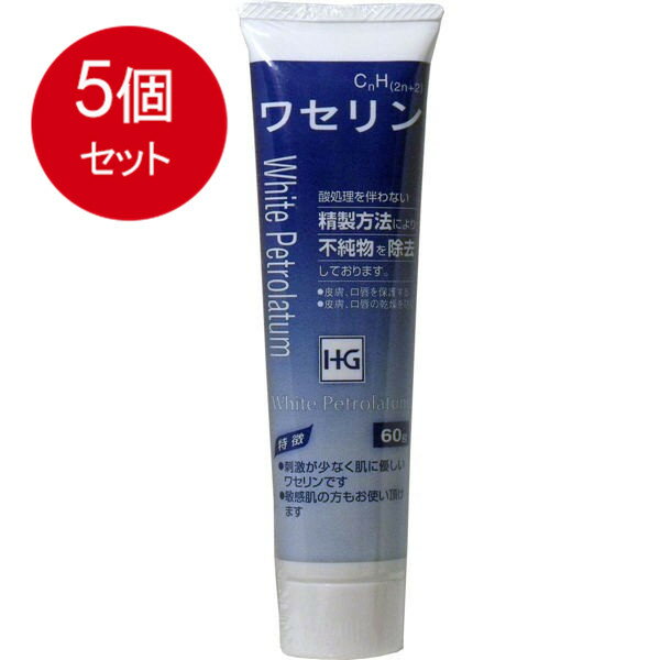 5個まとめ買い 大洋製薬 皮膚保護　ワセリンHG　チューブ　