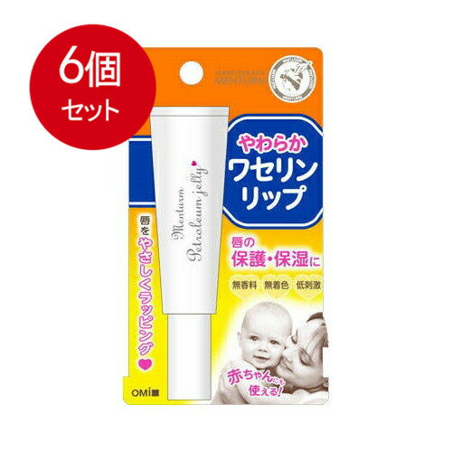 乐天商城 - 6個まとめ買い 近江兄弟社 メンターム ワセリンリップ 10g メール便送料無料 × 6個セット