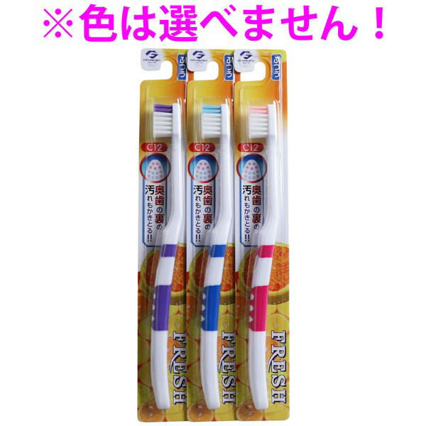 デンタルプロ フレッシュ 歯ブラシ ふつう 1本入　メール便送料無料