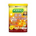 バスクリン薬湯 じんわり保温感 600G 送料無料