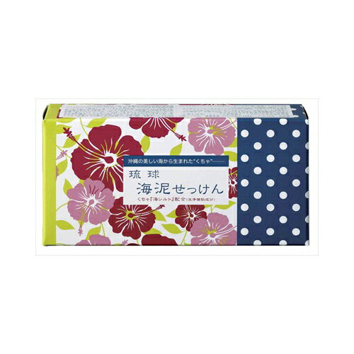 地の塩社 琉球海泥せっけん　100G×2　送料無料(4)