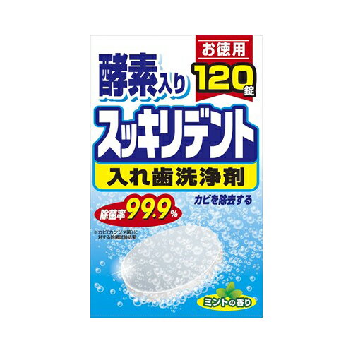 ライオンケミカル スッキリデント入れ歯洗浄剤120錠　送料無料